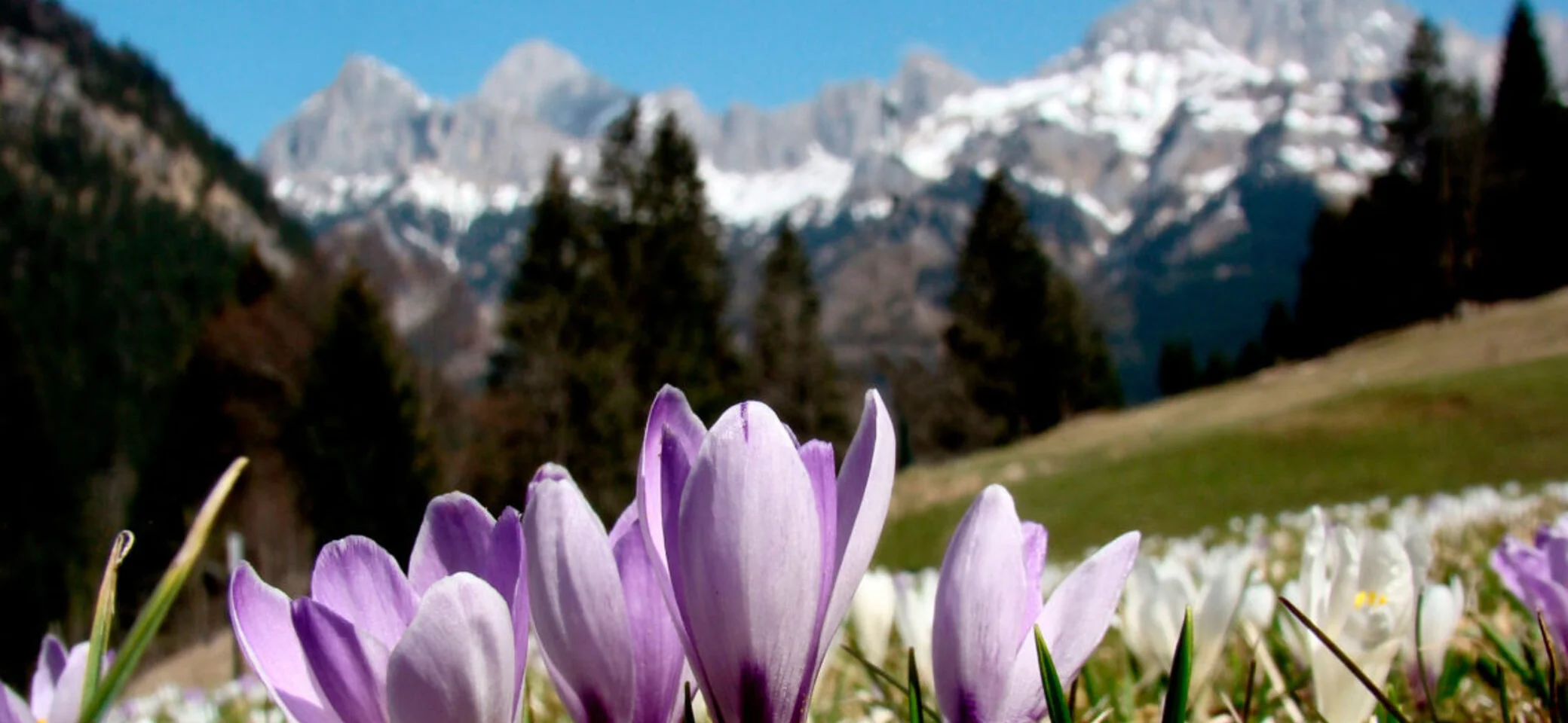 Frühlingstour | © DAV Füssen
