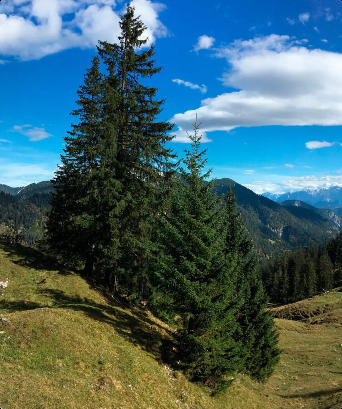 Sepp-Sollner-Hütte | © DAV Füssen
