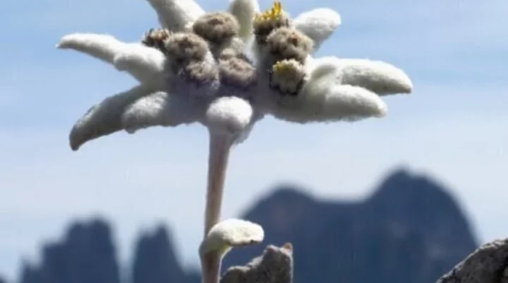 DAV Füssen | © DAV Füssen