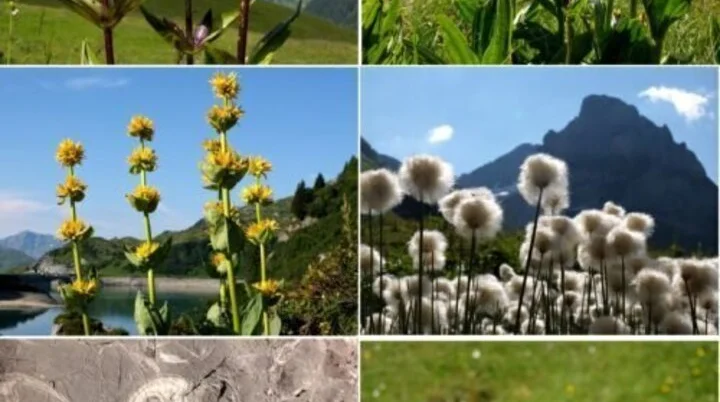 DAV Füssen | © DAV Füssen